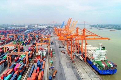 Chuyển đổi số đóng vai trò vô cùng quan trọng đối với ngành logistics
