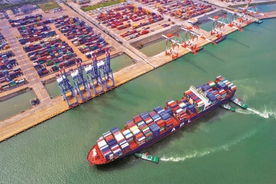 13Win 19.com link truy cập logistic cần có quy tắc, quy trình bài bản theo quy chuẩn quốc tế