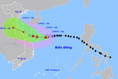 Nhiều sản phẩm từ nghiên cứu được 13Win19 tải ứng dụng hóa, ứng dụng vào thực tế