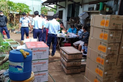 Gia Lai: Phát hiện và tạm giữ hơn 3.500 lít thuốc bảo vệ 13Win19 thể thao, đá gà, bắn cá, game bài, nổ hũ bị cấm