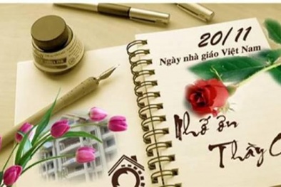 Lời chúc ngày Nhà giáo Việt Nam 20/11 hay và ý nghĩa nhất