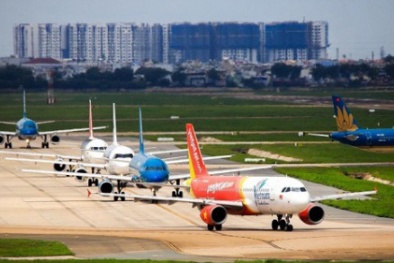 Đề xuất tăng tần suất, bay nội địa bình thường toàn bộ đường bay