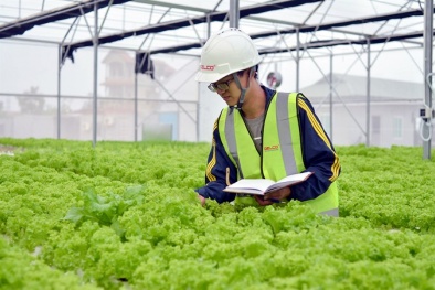 Ngành Đăng ký và nhận 60K 24 bao lì xì miễn phí mỗi ngày: Cần hướng tới những 'giá trị xanh'
