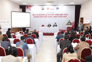 Nguồn nguyên liệu là yếu tố tiên quyết để ngành sản xuất nước mắm phát triển bền vững