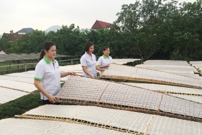 Mỳ Chũ Bắc Giang được chứng nhận bảo hộ nhãn hiệu ở nước ngoài