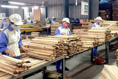 Năm 2021 ngành gỗ xuất siêu hơn 12 tỷ USD