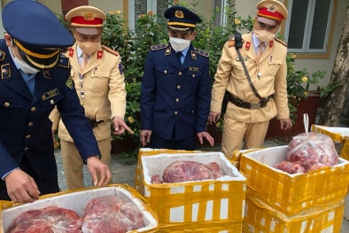 Nghệ An: Phát hiện hơn 800 kg thịt lợn, gà bốc mùi hôi thối