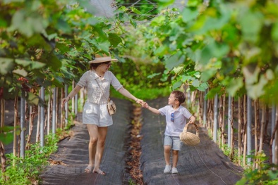 Hà Nội vào mùa du lịch 'tại chỗ'