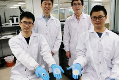 Phát minh mới: Pin dẻo có khả năng phân hủy sinh học