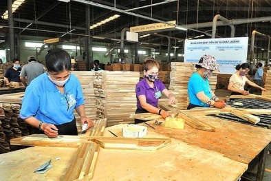 Cảnh báo 11 mặt hàng xuất khẩu có nguy cơ bị điều tra gian lận xuất xứ