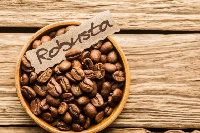 Cà phê Robusta Việt Nam được công nhận Kỷ lục Thế giới