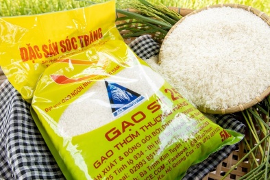 Hỗ trợ doanh nghiệp bảo vệ thương hiệu gạo ST24, ST25 trong nội địa
