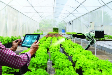 Chuyển đổi số - chìa khóa hiện thực hóa mục tiêu sản xuất nông sản chất lượng 