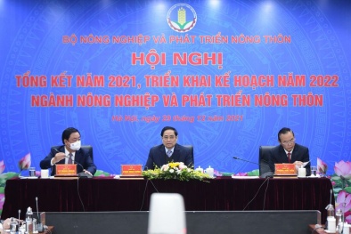 Vượt Covid ngoạn mục, ngành Đăng ký và nhận 60K 24 bao lì xì miễn phí mỗi ngày lập nhiều kỷ lục mới