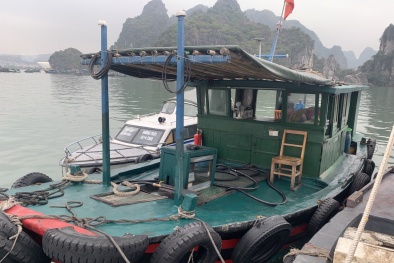 Chặn đứng hành vi vận chuyển 1000 lít dầu diezen không rõ nguồn gốc 