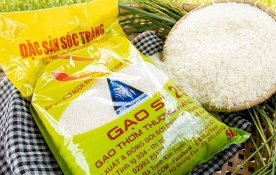 Tăng cường kiểm soát, chống gian lận xuất xứ mặt hàng gạo
