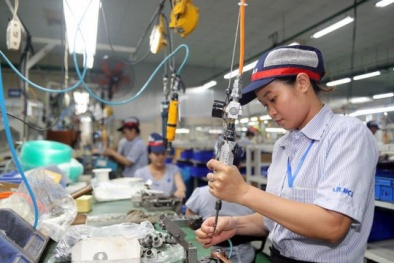 45 công trình lọt vào chung khảo Giải thưởng Sáng tạo Khoa học công nghệ Việt Nam 2021