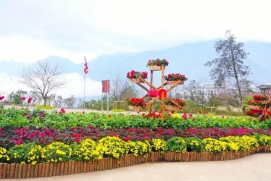 Giới trẻ nô nức trẩy Hội xuân mở cổng trời tại Fansipan 