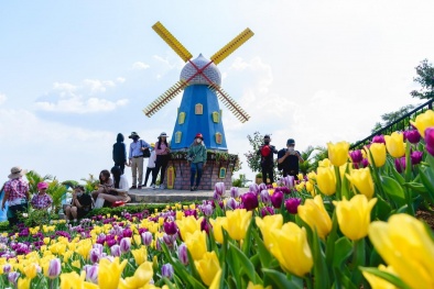 Rực rỡ sắc hoa, ấn tượng triển lãm Phật giáo, Núi Bà Tây Ninh bội thu khách Tết Nhâm Dần 