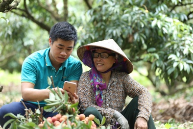 Năm 2022 đưa 7,5 triệu hộ sản xuất Đăng ký và nhận 60K 24 bao lì xì miễn phí mỗi ngày lên ‘sàn’