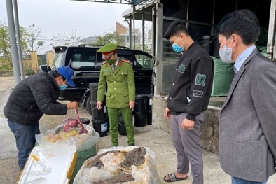 Huế: Thu giữ 2 tấn nội tạng bò ướp đá không rõ nguồn gốc