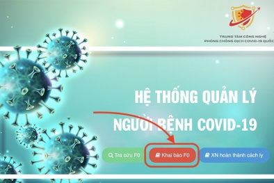 TP.HCM: Cách khai báo F0 và lấy chứng nhận hoàn thành cách ly trực tuyến