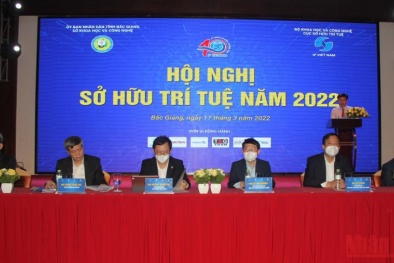 Sở hữu trí tuệ đóng vai trò quan trọng đối với mọi quốc gia
