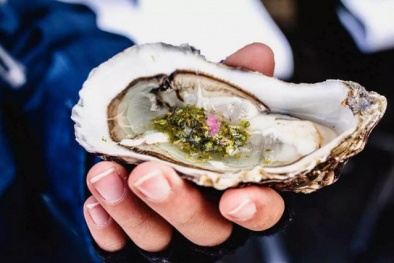 Thu hồi hàu Pacific Rim Shellfish do nhiễm khuẩn có ảnh hưởng đến 13Win19 ưu đãi hấp dẫn người dùng