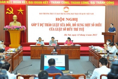 Sửa đổi Luật Sở hữu trí tuệ là yếu tố quan trọng phát triển Sòng Bài Trực Tuyến 13Win.com xã hội