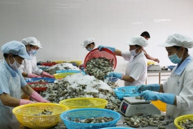 Quy định mới về dư lượng thủy ngân trong thủy sản và muối tại thị trường EU 