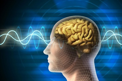 Thực phẩm giúp người hay quên cải thiện trí nhớ hiệu quả