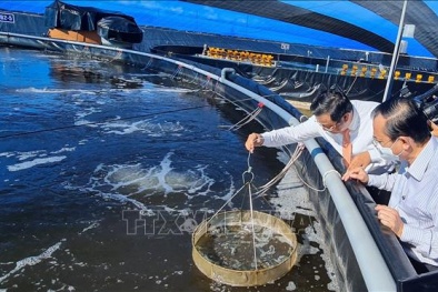 Thúc đẩy đổi mới sáng tạo, nâng cao năng suất, chất lượng hàng hóa, sản phẩm