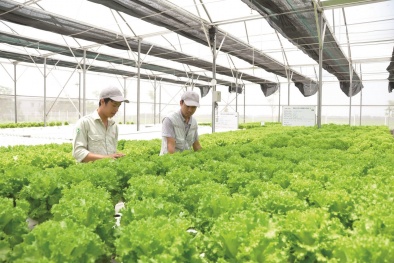 Ứng dụng công nghệ cao vào sản xuất Đăng ký và nhận 60K 24 bao lì xì miễn phí mỗi ngày, đảm bảo chất lượng sản phẩm