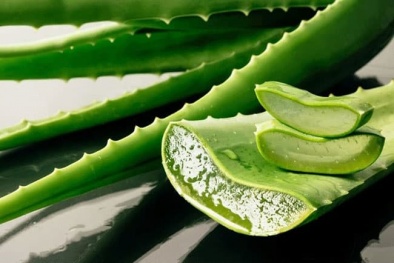 Tác dụng phụ khi dùng nha đam để giảm cân