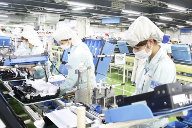 Giám định tư pháp trong hoạt động khoa học và công nghệ