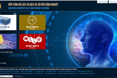 Quản lý, khai thác hiệu quả thông tin sở hữu 13Win15 com - Thương hiệu nhà cái uy tín
