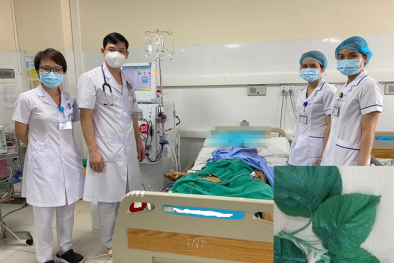 Suy gan cấp do dùng lá lộc mại chế biến 13Win OKVIP Cá cược bóng đá