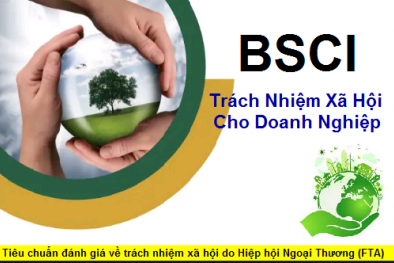 Áp dụng tiêu chuẩn BSCI – góp phần tăng năng suất chất lượng và khả năng cạnh tranh Link Đăng Nhập Nhà cái 13Win16.Com
