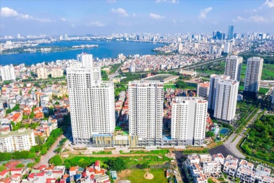Tổng cục Thuế yêu cầu không trả lại hồ sơ kê khai thuế chuyển nhượng bất động sản