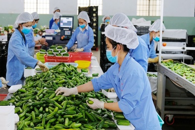 Chuyển đổi số: Cơ hội và thách thức cho mặt hàng nông sản 