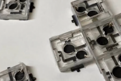 Phát triển loại pin sinh học từ vi khuẩn ba lớp có thể sản xuất điện trong nhiều tuần