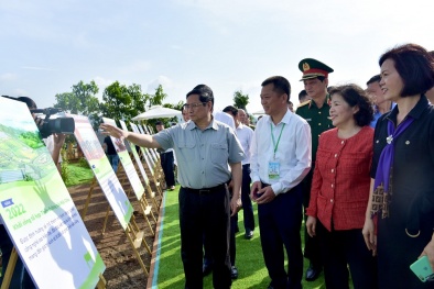 Thiên đường sữa trên thảo nguyên xanh Mộc Châu - dự án “khủng” của 2 ông lớn ngành sữa