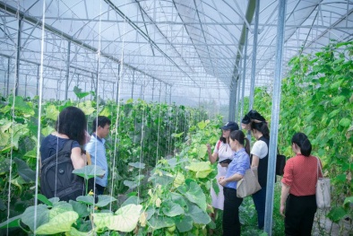 Tiếp tục đổi mới một loạt chính sách nhằm phát triển Sòng Bài Trực Tuyến 13Win.com tập thể