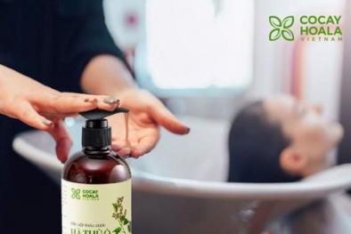 Thu hồi trên toàn quốc lô dầu gội trị chấy Medy do không đạt tiêu chuẩn chất lượng
