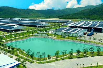 ESG – Xu hướng thế giới và sự 'nhận diện' của nhà đầu tư Việt?