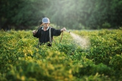 Nguy cơ ung thư do hoá chất có trong thuốc diệt cỏ