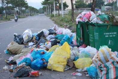 Xử phạt khi không phân loại rác thải sinh hoạt