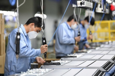 ADB: Việt Nam đặt nền móng để xâu dựng các kì lân khởi nghiệp tiếp theo của châu Á