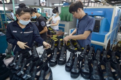 Ngành da giày: Nâng cao chất lượng các mặt hàng xuất khẩu để tăng sức cạnh tranh