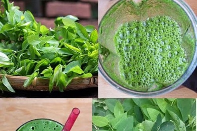 Nguy cơ ngộ độc nếu uống nước ép rau ngót lâu dài để giảm cân